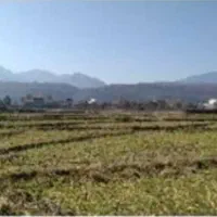 1300متر زمین داخل باف