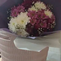 گل طبیعی|گل و گیاه طبیعی|مشهد, مصلی (کارمندان اول)|دیوار