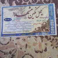 قالی ۱۲ متری گل برجسته نخ ضخیم|فرش|شیراز, تاچارا|دیوار
