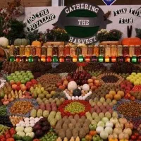 وسایل میوه فروشی