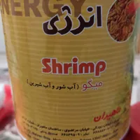 غذای انواع ماهی ها