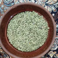 عدس|خوردنی و آشامیدنی|تالش, هشتپر|دیوار