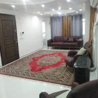 خانم برای نظافت