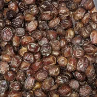 محصولات جنوب|خوردنی و آشامیدنی|محمدشهر, شهرک چمران|دیوار