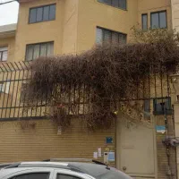 کلنگی قدرالسهم ۵۰ درصد