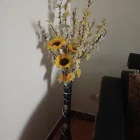 گل و گلدان