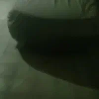 ماشین|خودرو سواری و وانت|تهران, گلچین|دیوار