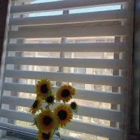 پرده کرکره ای زبرا