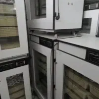 دستگاه جوجه کشی هدایت|لوازم جانبی حیوانات|رامشیر, |دیوار