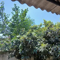 خانه ویلایی فروشی محمدآباد،معاوضه باویلایی مینودشت