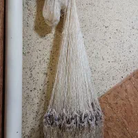 طور ماهی نو