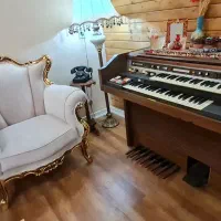 اورگان هامون usa