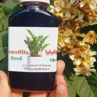 کود تقویتی گل آپارتمانی و قیم پتوس، خاک مخلوط|گل و گیاه طبیعی|رشت, پیرکلاچای|دیوار