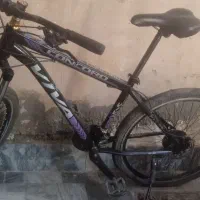 دوچرخه ویوا|دوچرخه، اسکیت، اسکوتر|زالیان, |دیوار