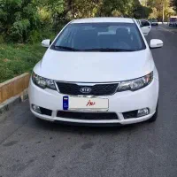 سراتو ۹۴ تک برگ سند بدون رنگ