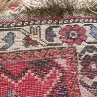 کناره دست باف گبه طرح فرش|فرش|شیراز, فخرآباد (دروازه کازرون)|دیوار
