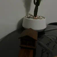 ست چوبی|صنایع دستی و سایر لوازم تزئینی|تهران, خواجه نصیر طوسی|دیوار