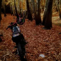 تریل روان مدل ۸۸