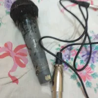 میکرو فن سالم باسیمش