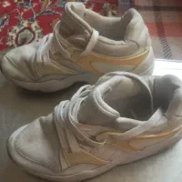 خواهشن فقط واقعی|کیف، کفش، کمربند|اسدآباد, |دیوار