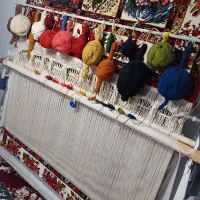 قالی دست بافت شیدایی|فرش|نوشهر, |دیوار