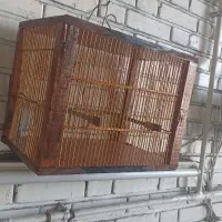 قفس سهره وقناری|لوازم جانبی حیوانات|تبریز, |دیوار