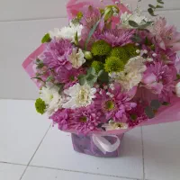 سادگی طبیعی