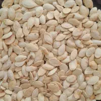 تخمه کدو اجیلی