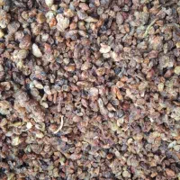 کشمش بی دانه قیمت مناسب ، بازم کنارمیام...