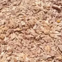 نان خشک