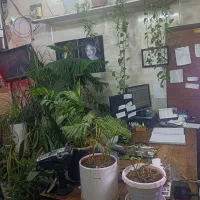تاکسی تلفنی|فروش دفتر کار، اتاق اداری، مطب|قم, قلعه یزدیها|دیوار