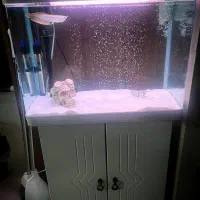 آکواریوم با لوازم و ماهی آروانا سیلور