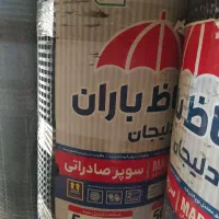 ایزوگام