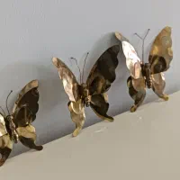 پروانه برنز اصل تضمینی