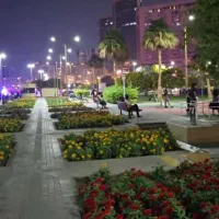 راهنمایی براکار