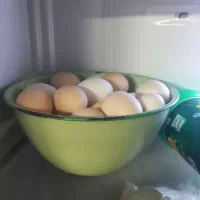 دوغ گوسفندی و تخم مرغ محلی