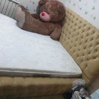 تخت چستر درحد|تخت و سرویس خواب|محمدشهر, محمدشهر|دیوار