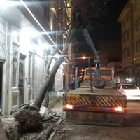 خدمات نوین باغبانی(متین)|خدمات باغبانی و درختکاری|تهران, فلاح|دیوار