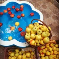 حوضچه بتنی  آبنما  راهبندشهری  فلاورباکس گلدان|مصالح و تجهیزات ساختمان|تهران, تهرانسر شرقی|دیوار