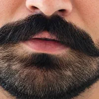 هلو.با پرزش خوبه . مرد با ریش و سبیل