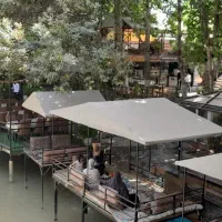 استخدام مهماندار و سرمیزبان و میزبان|استخدام خدمات فروشگاه و رستوران|شاندیز, |دیوار