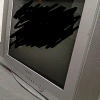 تلوزیون