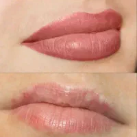 حرفه ای تتو بدن میکرو ابرو شیدینگ لب اکستشن مو|خدمات آرایشگری و زیبایی|تهران, مجیدیه|دیوار