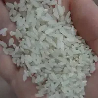 برنج کامفیروزی|خوردنی و آشامیدنی|شیراز, دروازه قران|دیوار