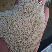 برنج سالم و نیم دانه قیمت در کارخانه