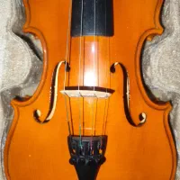 ویولون|ویولن|تبریز, |دیوار