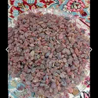 کشمش پلویی عالی زیر قیمت