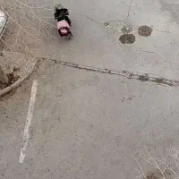 نیرو جهت کار