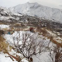 ۳۸۰متر باغچه سنددار تکبرگ ۴دیواری