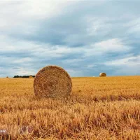 فروش امتیاز بهزیستی